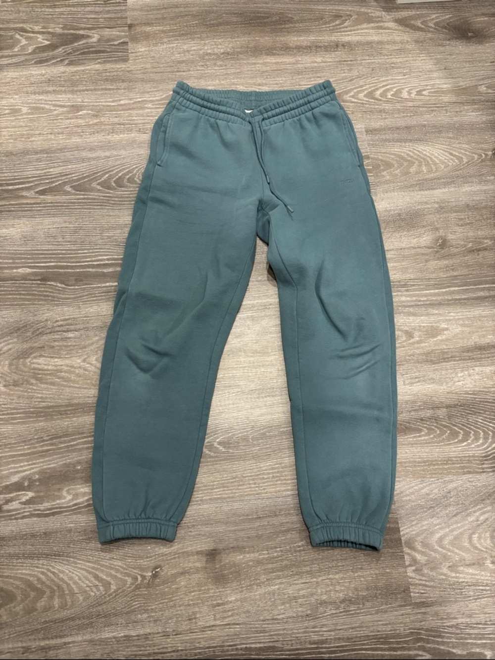 Aritzia Women’s Teal Jogger Sweatpants